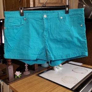Reign aqua shorts size 24